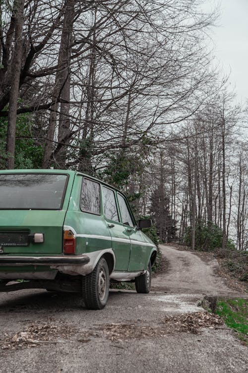 Foto profissional grátis de 12, árvores, automóvel