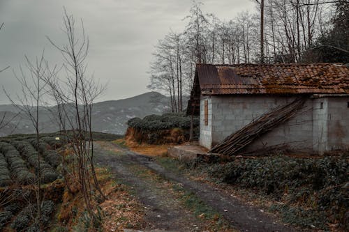 A small house sits on a dirt road