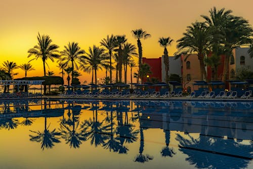 A pool with palm trees and sun setting