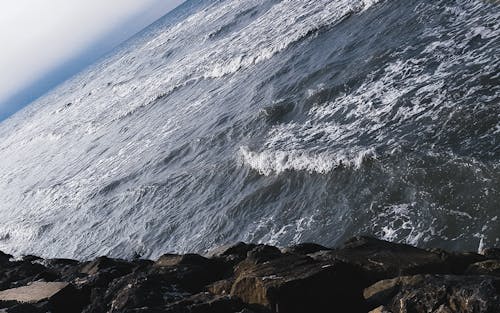 The Power of the Ocean✨