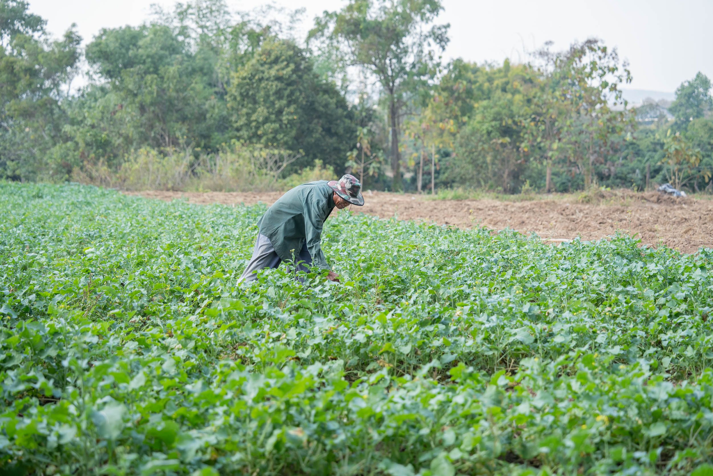 Photo of a Man Working in a Field · Free Stock Photo