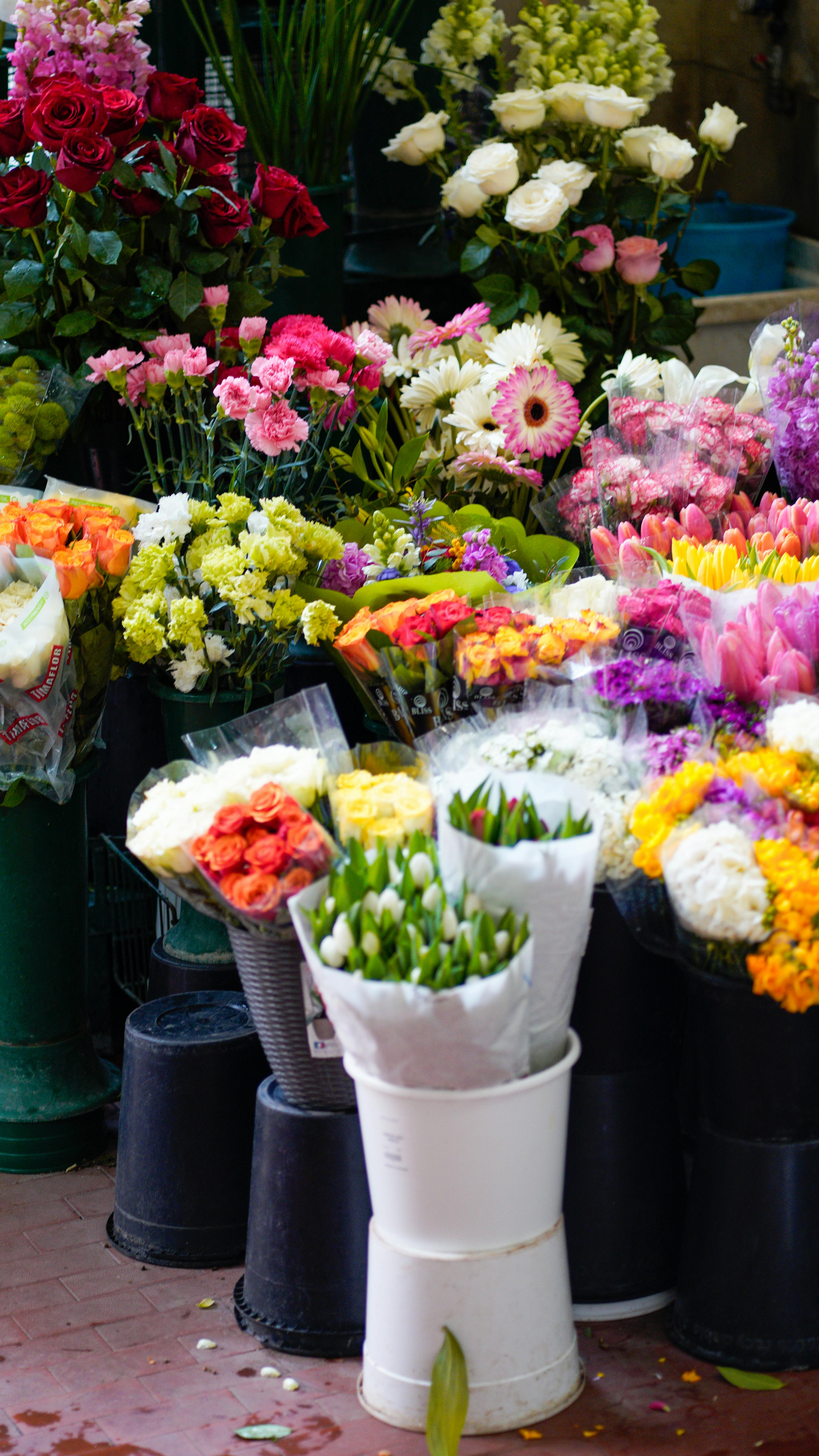 [ColoSach]-colorful-and-diverse-flower-bouquets-arranged-at-a-market,-showcasing-a-blend-of-roses,-tulips,-and-more.