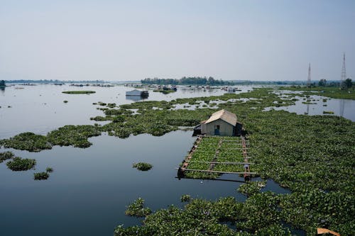 Δωρεάν στοκ φωτογραφιών με αγρόκτημα, Ασία, γήπεδο