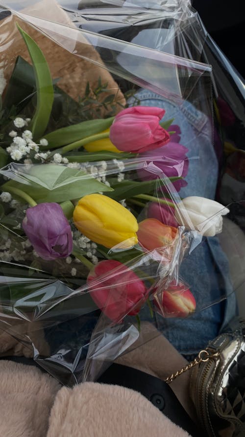A bouquet of tulips is wrapped in plastic