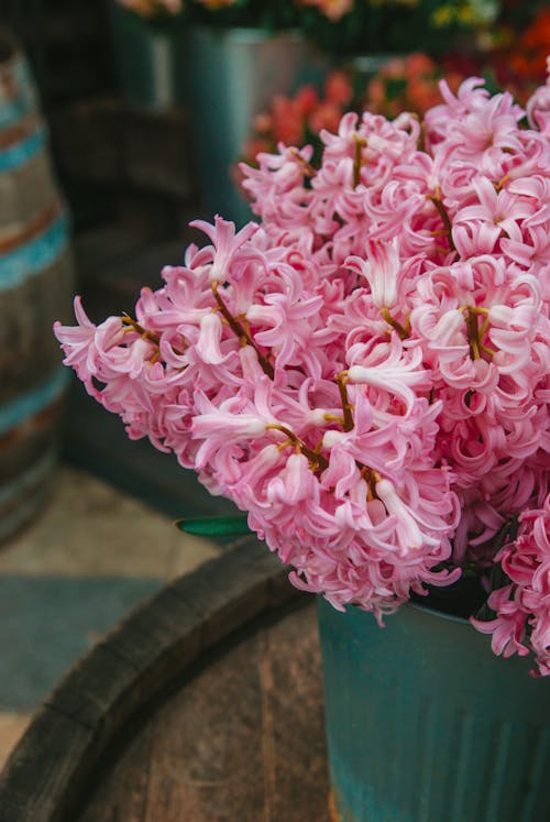 A flower pot filled with pink flowers sitting on a table