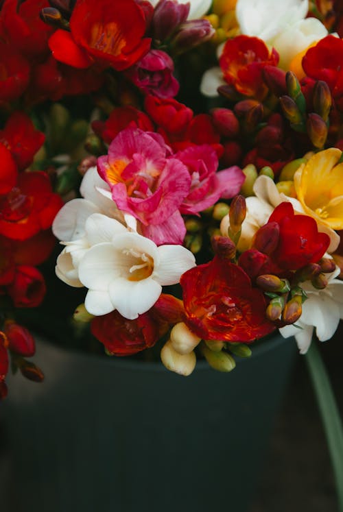A close up of a bouquet of flowers
