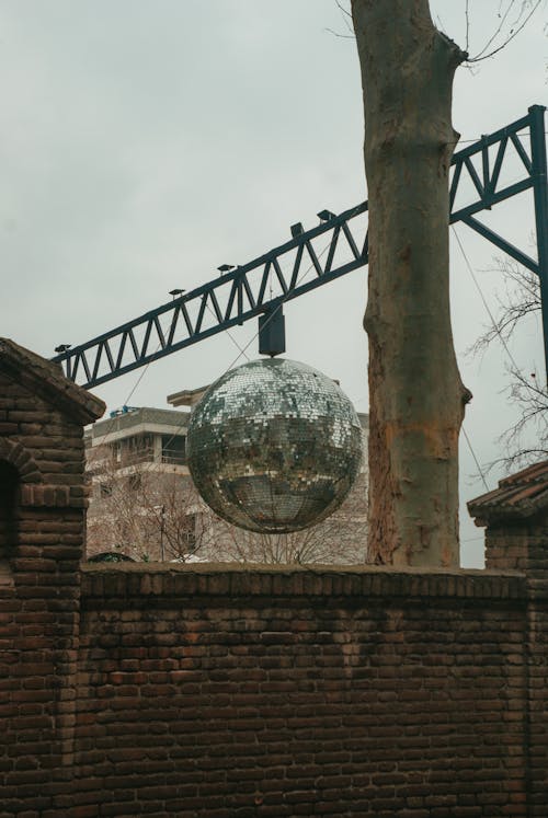 A mirror ball hanging from a tree