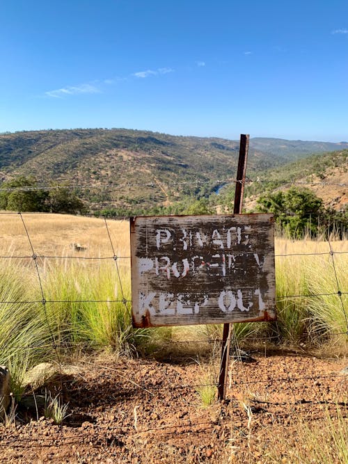 Foto profissional grátis de alerta, campo, cerca