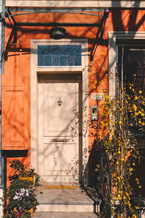 A door with a flower pot on the front porch