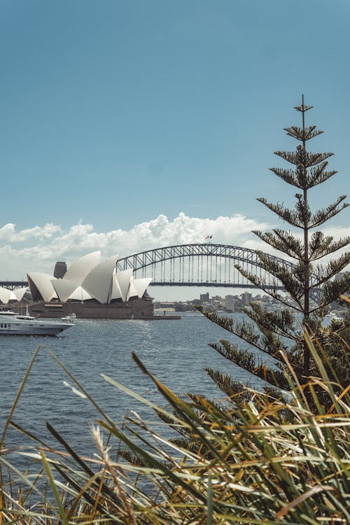 オーストラリア, シドニー, シドニーハーバーブリッジの無料の写真素材