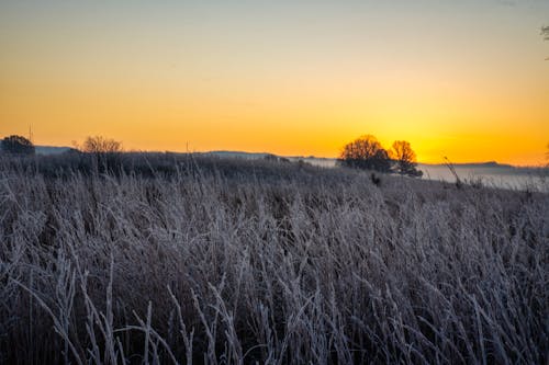 A sunset over a field with frost on the grass