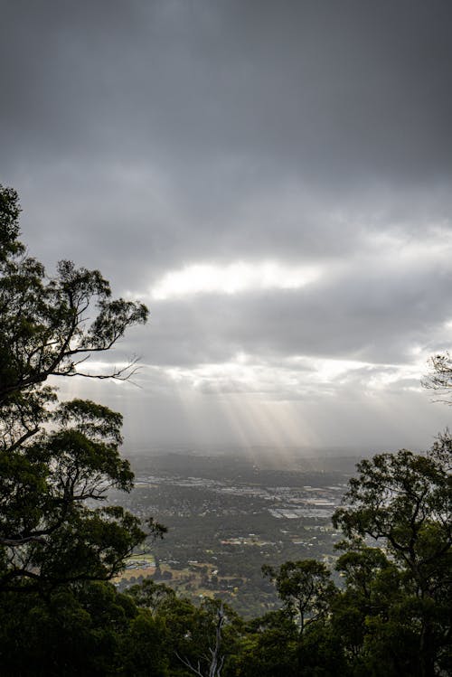 A view of the sun shining through clouds over a forest