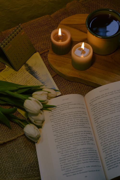 Free stock photo of book, book day, burning candle