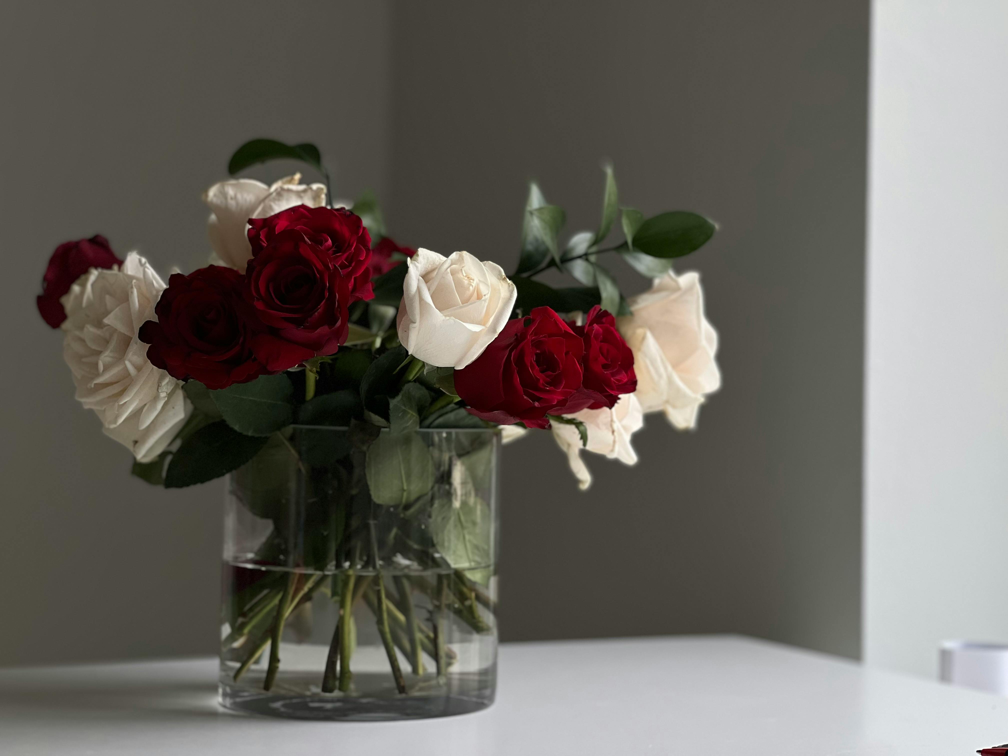 A beautiful arrangement of red and white roses in a clear glass vase on a table.