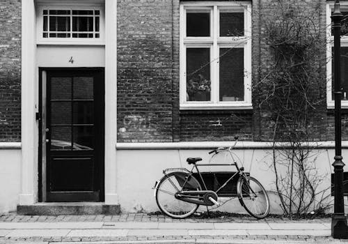 Imagine de stoc gratuită din alb-negru, arbore, bicicletă