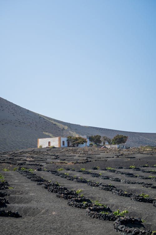 A house on a hillside with a black dirt road