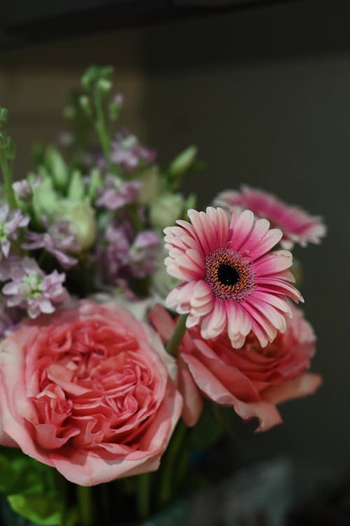 Foto d'estoc gratuïta de arranjament, decoratiu, flors