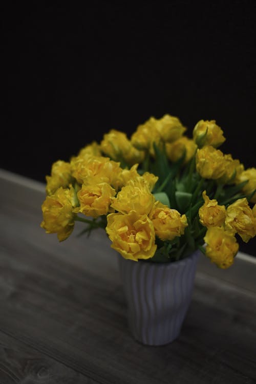 Photos gratuites de décoratif, fleurs jaunes, nature morte