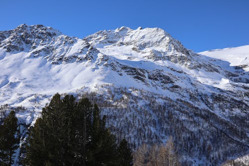 Ingyenes stockfotó Alpok, bernina-express, fagy témában