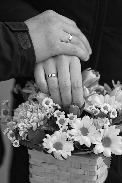 Foto stok gratis bersama, bunga kamomil, cincin kawin