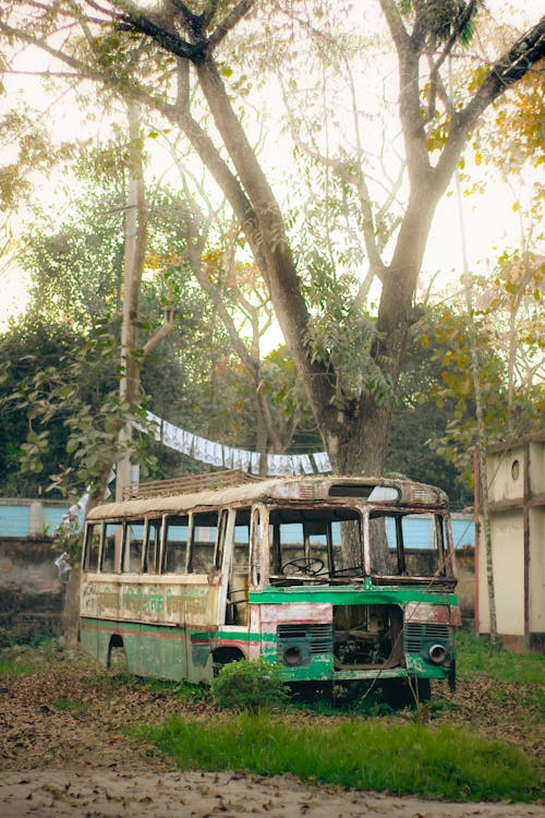Immagine gratuita di abbandonato, alberi, autobus