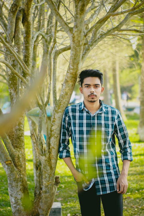 Foto profissional grátis de folha verde, homens, menino bangladeshiano