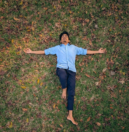 Foto profissional grátis de deitado na grama, folha, folha verde