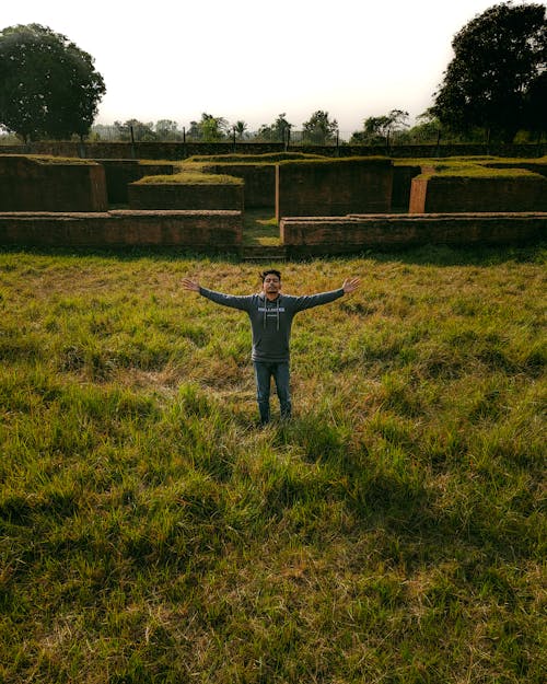 Foto profissional grátis de deitado na grama, ecológico, folha verde