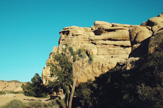 Majestic rock formations and distinctive Joshua trees under a clear blue sky in California.