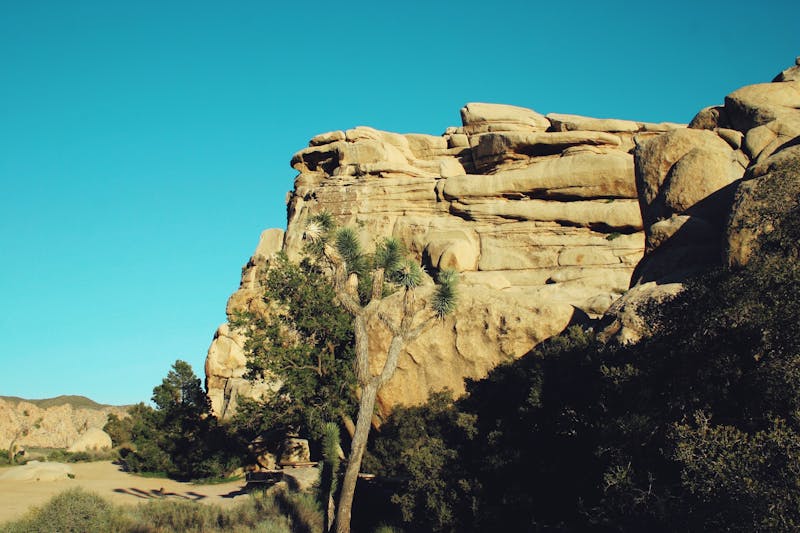 Formations rocheuses majestueuses et arbres de Joshua sous un ciel bleu clair en Californie