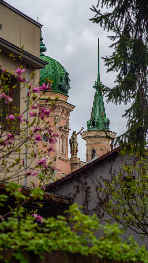 คลังภาพถ่ายฟรี ของ lviv, ดอกไม้ที่มีสีสัน, พิพิธภัณฑ์