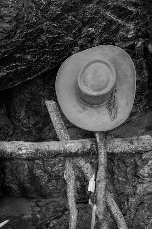Foto d'estoc gratuïta de barret, blanc i negre, pal de fusta