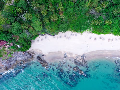 Acqua Che Colpisce Le Rocce In Riva Al Mare Vicino Agli Alberi