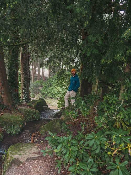 A person standing in the woods next to a stream