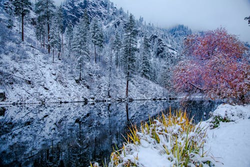 Wenatchee River