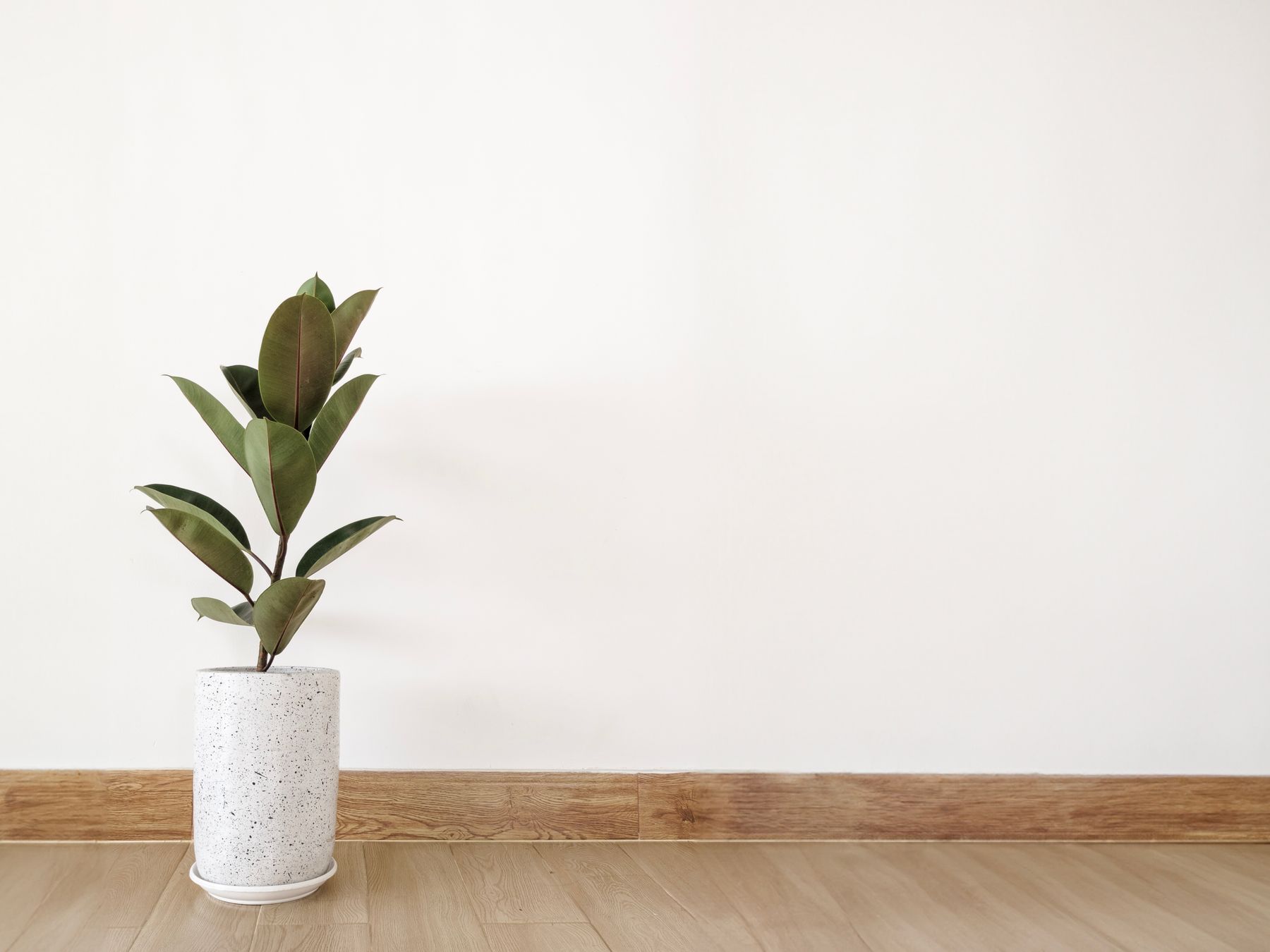 End of Tenancy Decorating in Hornsey — surfaces prepped and cut in by hand