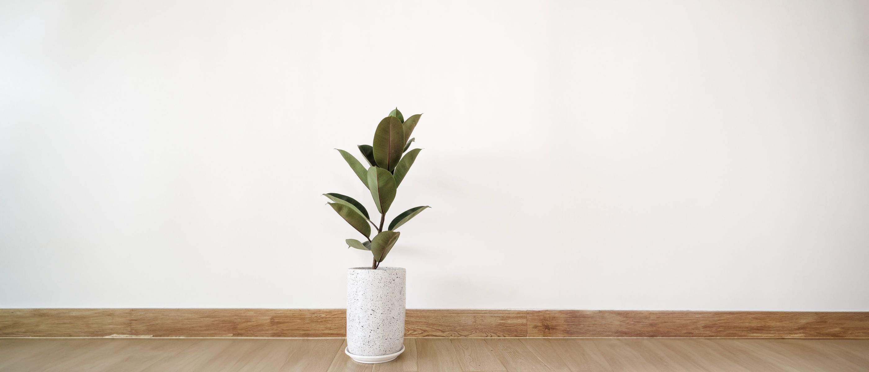 End of Tenancy Decorating in Upper Walthamstow — a freshly painted, spotless finish