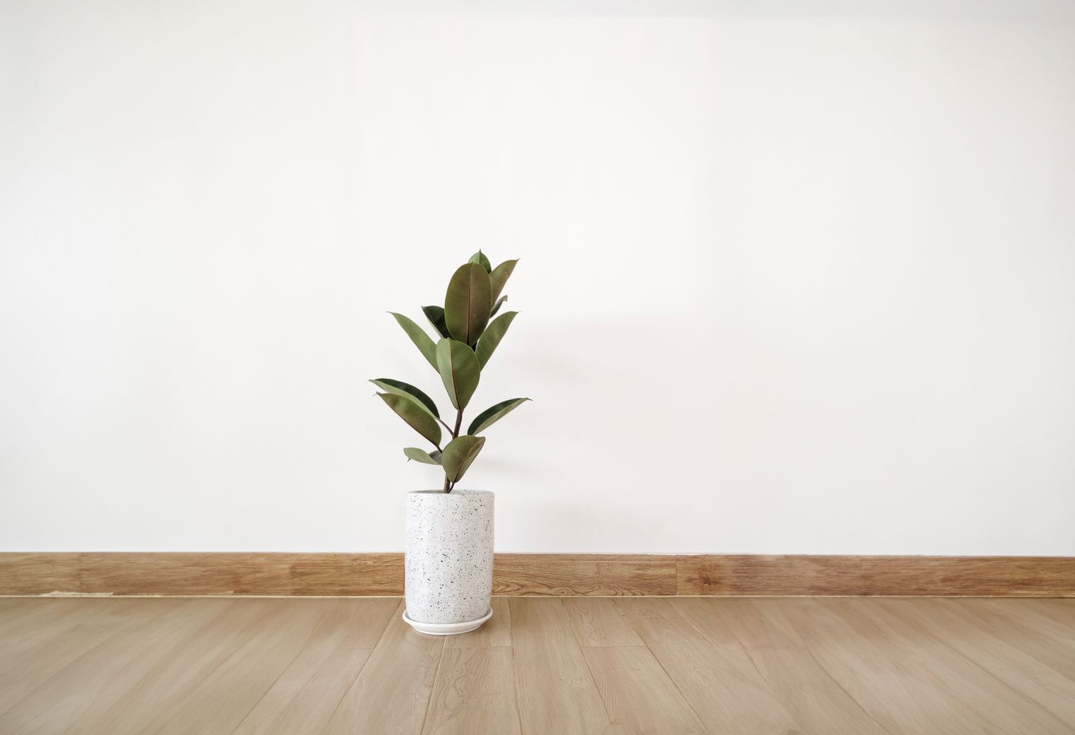 End of Tenancy Decorating in Osidge — woodwork brushed to a crisp, smooth line