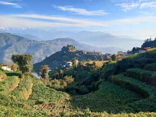 Foto stok gratis bagus, bukit, Desa