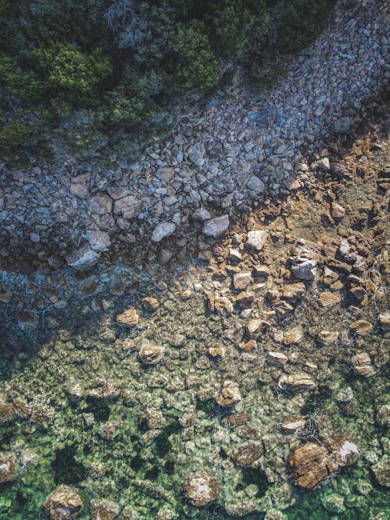 Rocks by the River 