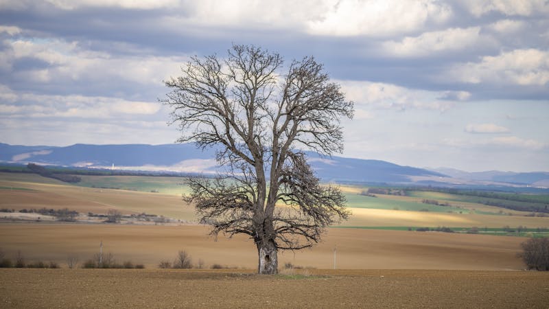 Retrato de creadora de contenido lifestyle premium
