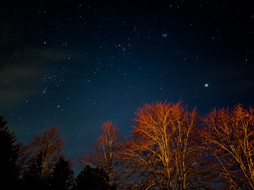 Gratis arkivbilde med himmel, natt, nattehimmel