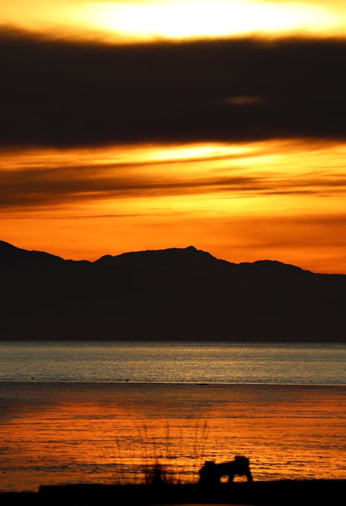 Immagine gratuita di cielo arancione, colline, mare