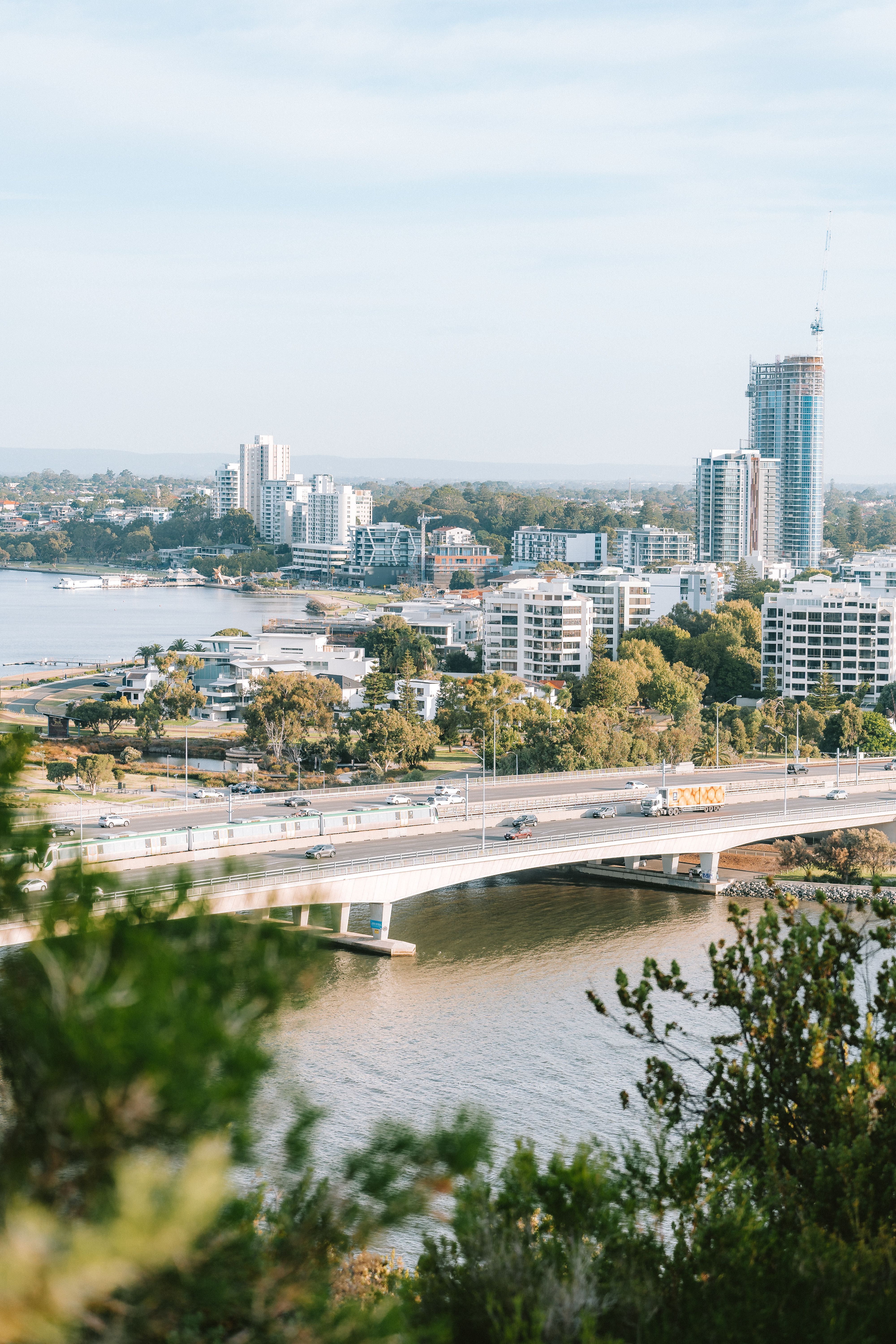 A view of the city from a hilltop · Free Stock Photo