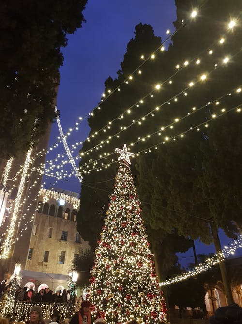 คลังภาพถ่ายฟรี ของ ymca, ของตกแต่งวันคริสต์มาส, เยรูซาเล็ม