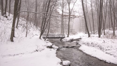 Fotobanka s bezplatnými fotkami na tému chladný, hmla, krajina