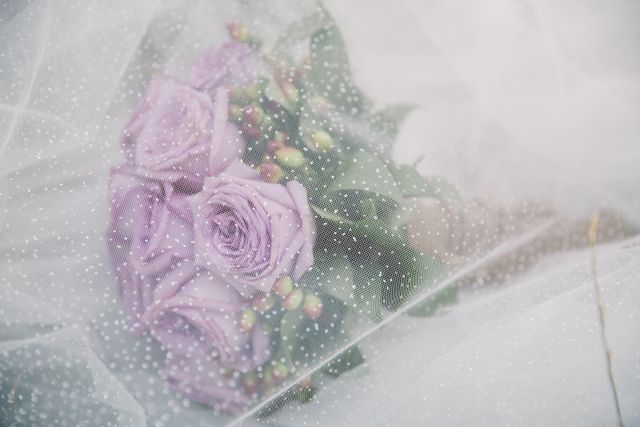 Bouquet de mariée de roses lavande sous un voile