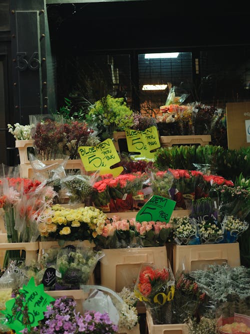 Foto profissional grátis de arranjo de flores, buquês, display