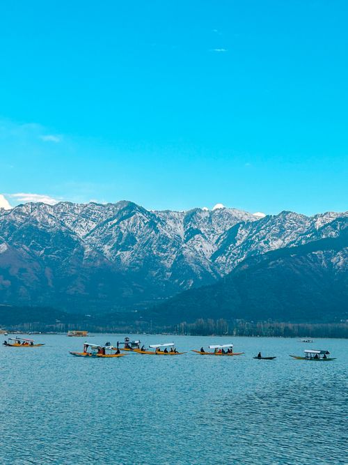 Free Colorful shikaras float on Dal Lake against the stunning snow-capped Himalayas in Srinagar. Stock Photo