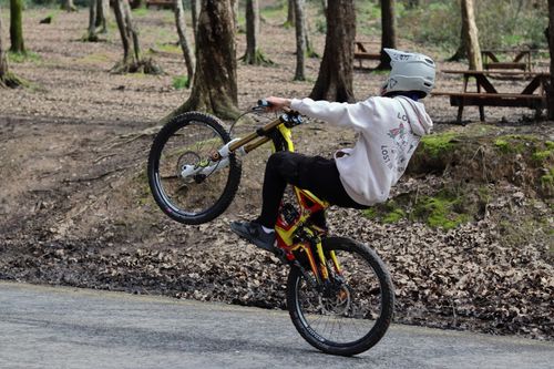 Free A cyclist performing a wheelie on a mountain bike in a wooded area during daytime. Stock Photo